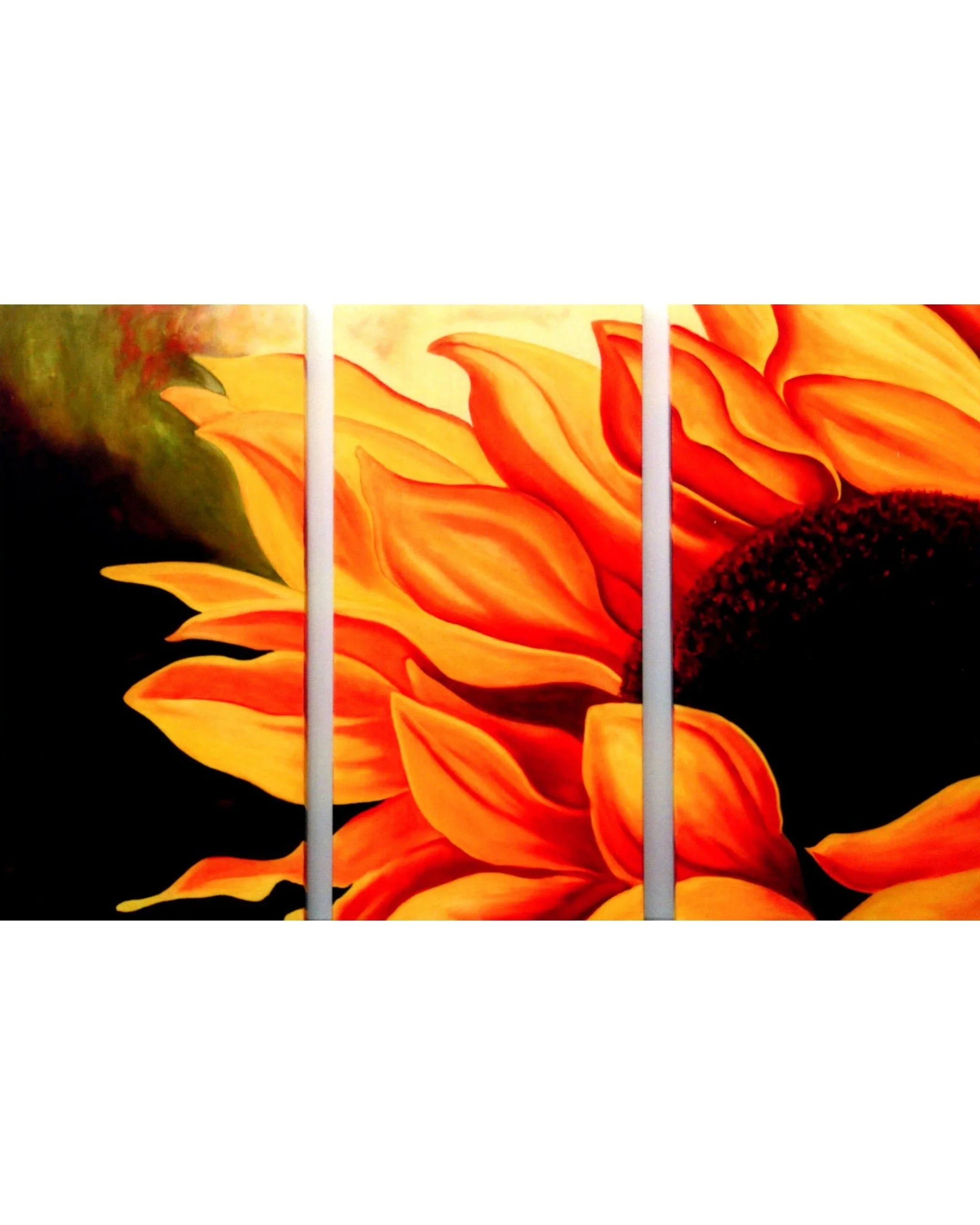 Flowers_in_the_Sun - Shawn Hawkin's Art