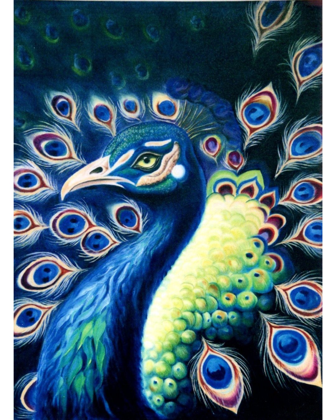 Midnight_Peacock - Shawn Hawkin's Art