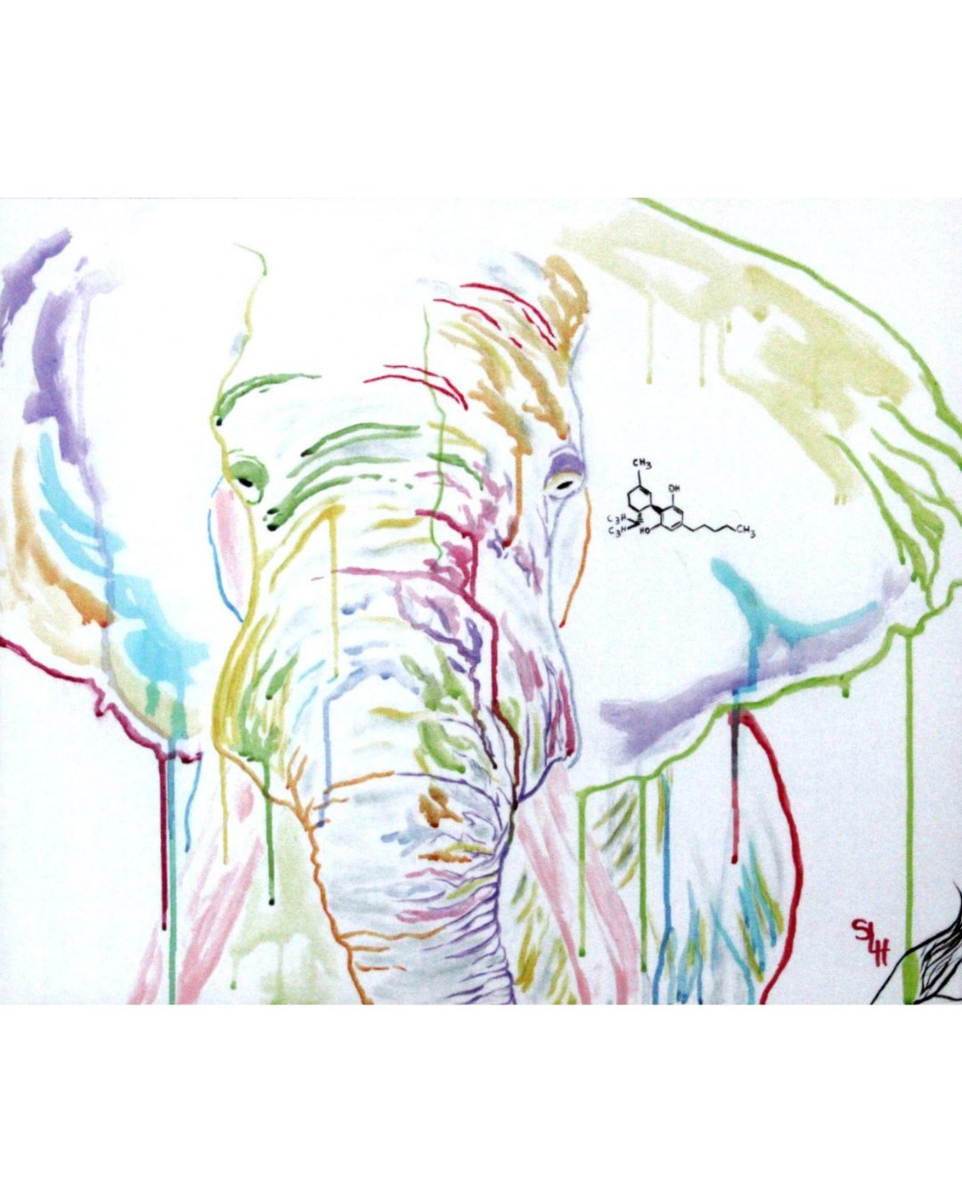 SpectrumElephant - Shawn Hawkin's Art