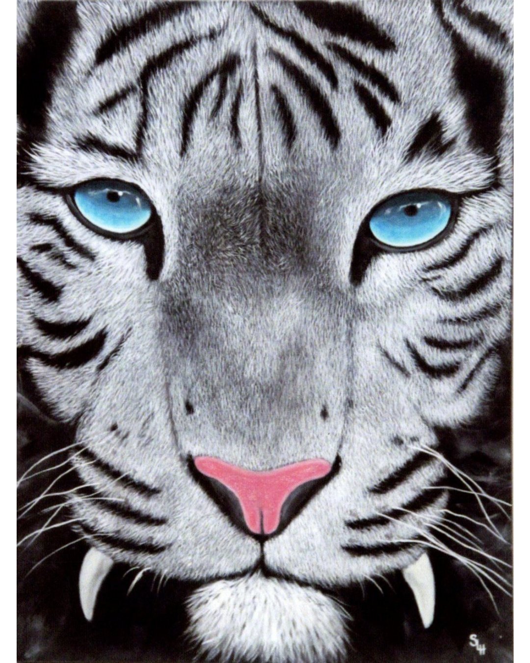 White_Tiger - Shawn Hawkin's Art