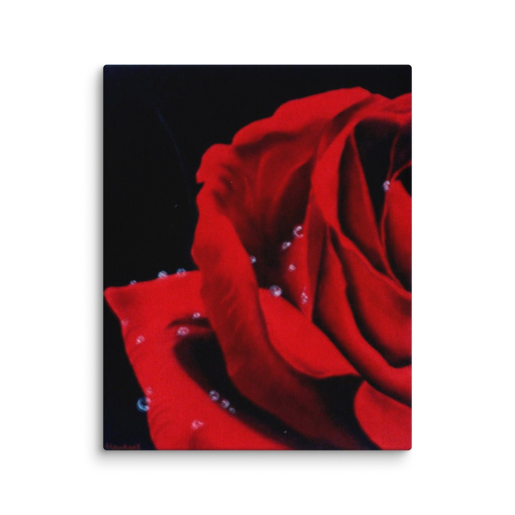canvas-_in_-16x20-wall-6a34427126df3 - Shawn Hawkin's Art