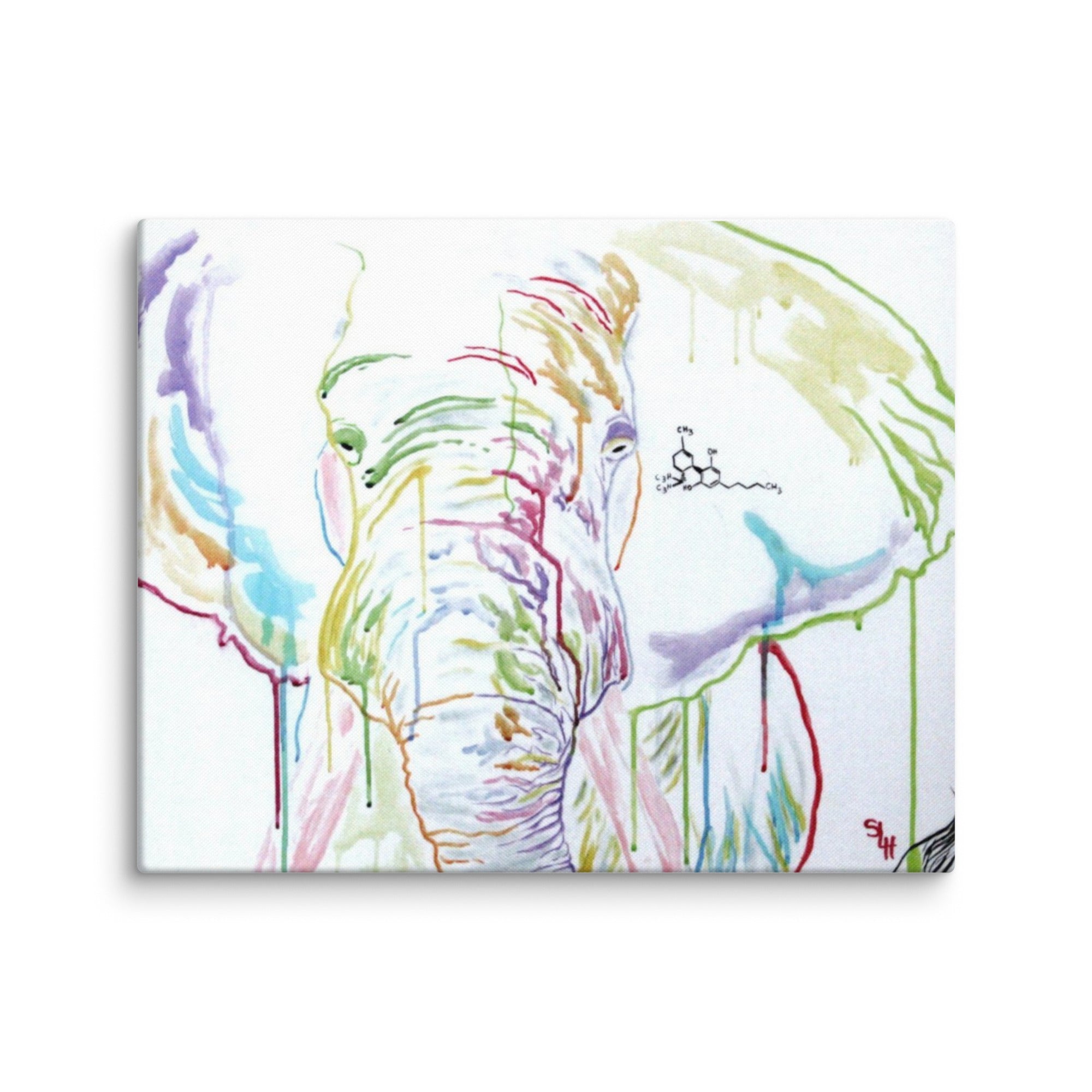 canvas-_in_-16x20-wall-6a3a2586ab0d3 - Shawn Hawkin's Art