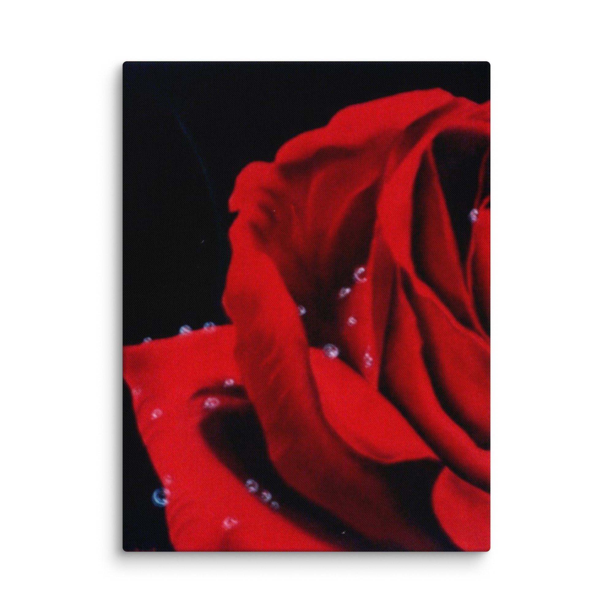 canvas-_in_-18x24-wall-6a344271281c0 - Shawn Hawkin's Art