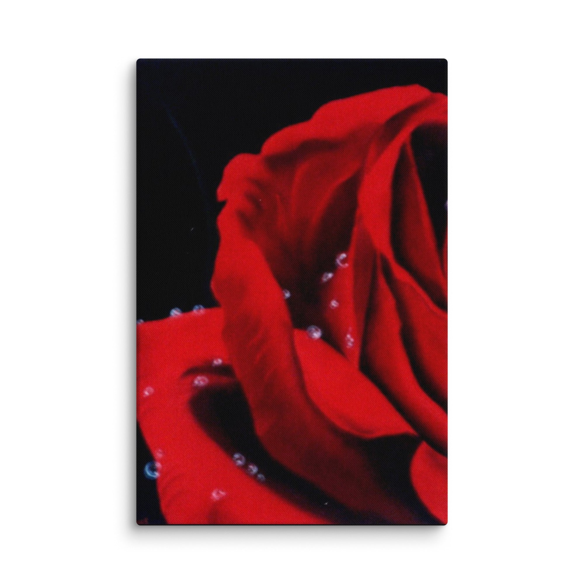 canvas-_in_-24x36-wall-6a34427128baa - Shawn Hawkin's Art