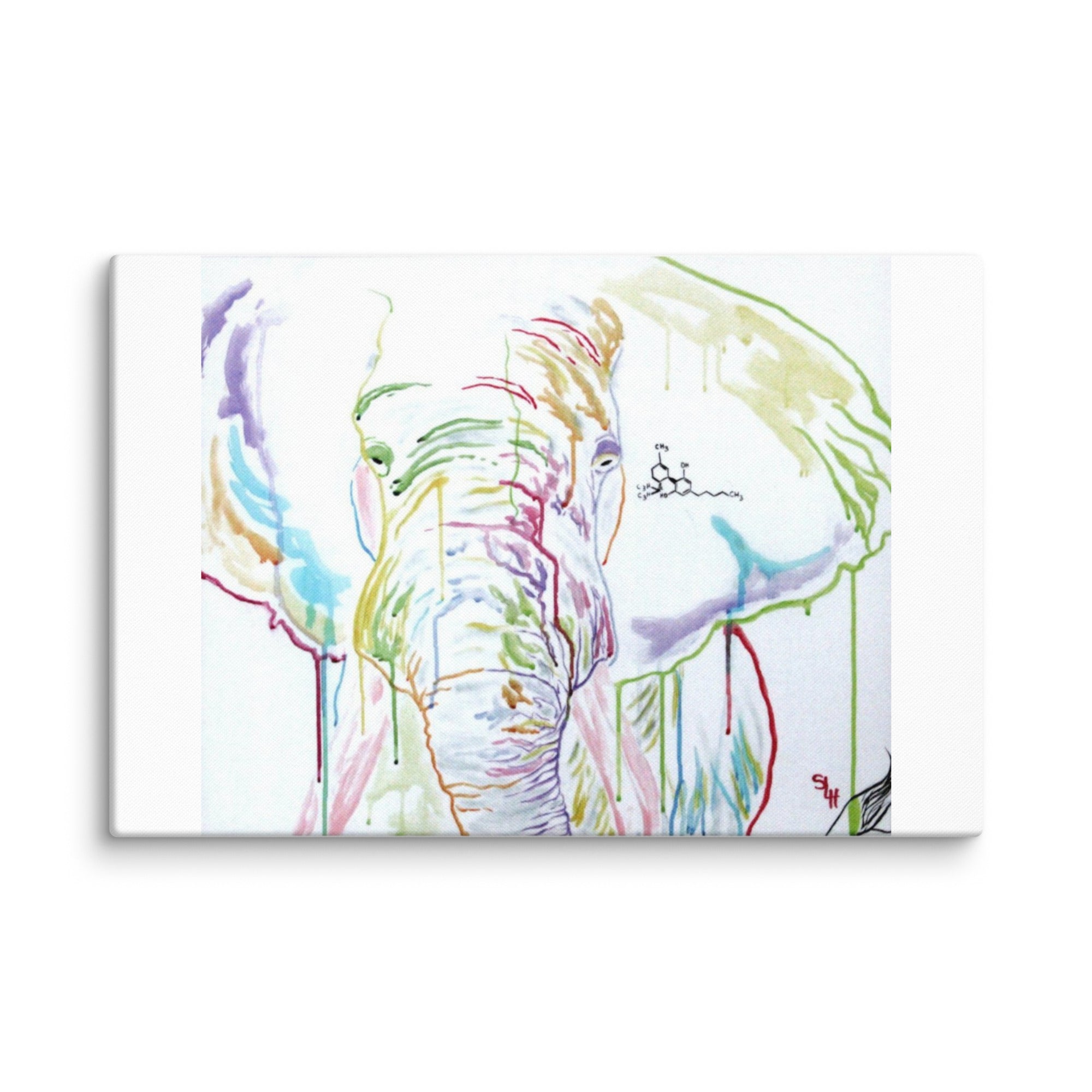 canvas-_in_-24x36-wall-6a3a2586ac545 - Shawn Hawkin's Art